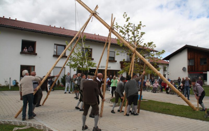 Ganz Traditionell Wird Der Maibaum Wird Aufgestellt.